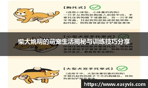 多多28官网