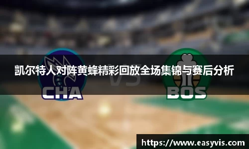 凯尔特人对阵黄蜂精彩回放全场集锦与赛后分析